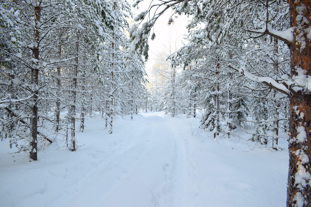 Winter walk, Luleå, Sweden